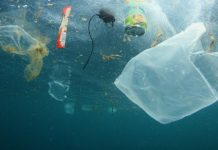 Tech: Australian islands home to 414 million pieces of plastic pollution — (Report)