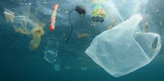 Tech: Australian islands home to 414 million pieces of plastic pollution — (Report)