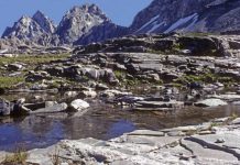 Research: Warming climate threatens microbes in alpine streams —