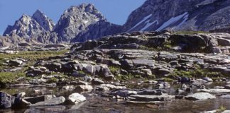 Research: Warming climate threatens microbes in alpine streams —