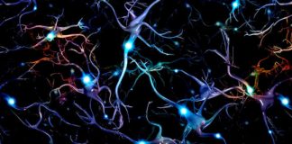 Offbeat: Flexibility of working memory from random connections —