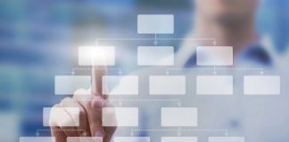 Study: Neuroscientists identify a brain circuit that helps break decisions down into smaller pieces — (Details)