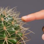 Study: Brain’s insular cortex processes pain and drives learning from pain — (Details)