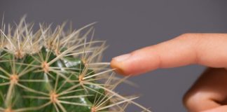 Study: Brain’s insular cortex processes pain and drives learning from pain — (Details)