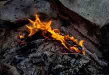 Research: Earliest evidence of the cooking and eating of starch —