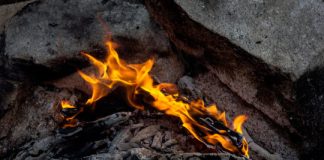 Research: Earliest evidence of the cooking and eating of starch —