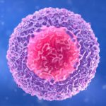 Study: Scientists capture first-ever video of body’s safety test for T-cells — (Details)