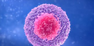 Study: Scientists capture first-ever video of body’s safety test for T-cells — (Details)