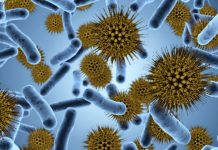 Research: Dangerous pathogens use this sophisticated machinery to infect hosts —