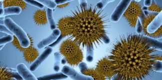 Research: Dangerous pathogens use this sophisticated machinery to infect hosts —