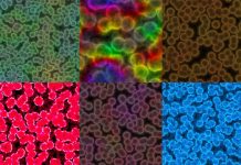 Research: Technology could enable new medical, industrial, environmental biosensors —