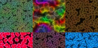 Research: Technology could enable new medical, industrial, environmental biosensors —