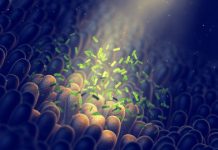 Research: Review of studies suggests a potentially useful link between gut bacteria and mental disorders —