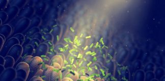 Research: Review of studies suggests a potentially useful link between gut bacteria and mental disorders —