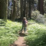 Study: Contact with nature during childhood could lead to better mental health in adulthood — (Details)