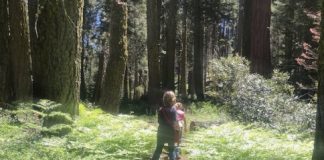 Study: Contact with nature during childhood could lead to better mental health in adulthood — (Details)