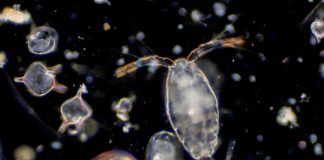 Research: A new view on past climate change —