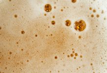 Research: Cocktails with Cleopatra? Israeli scientists resurrect yeast from ancient beer jugs to recreate 5,000-year-old brew —