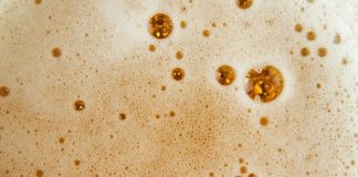 Research: Cocktails with Cleopatra? Israeli scientists resurrect yeast from ancient beer jugs to recreate 5,000-year-old brew —