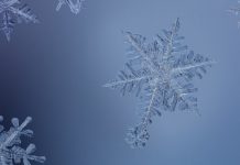 Tech: Unexpected observation of ice at low temperature, high pressure questions water theory — (Report)