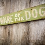 Study: Study identifies dog breeds, physical traits that pose highest risk of biting children — (Details)