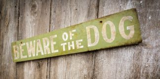 Study: Study identifies dog breeds, physical traits that pose highest risk of biting children — (Details)