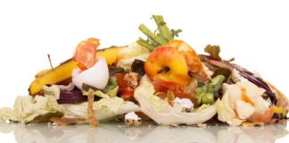 Tech: Table scraps can be used to reduce reliance on fossil fuels — (Report)