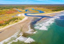 Research: Producing electricity at estuaries using light and osmosis —