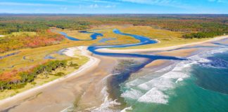 Research: Producing electricity at estuaries using light and osmosis —