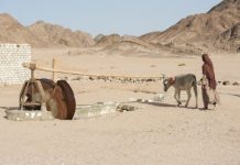 Research: Researchers examine the age of groundwater in Egyptian aquifers —