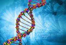 Research: Neurodevelopmental condition can result from mutations in the noncoding regions of the human genome, research shows —