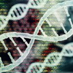 Study: Dozens of genes previosly thought to have similar roles across species are in fact unique to humans — (Details)