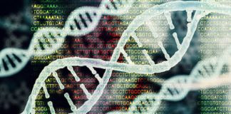 Study: Dozens of genes previosly thought to have similar roles across species are in fact unique to humans — (Details)