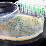 Study: New compound which kills antibiotic-resistant superbugs discovered — (Details)