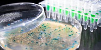 Study: New compound which kills antibiotic-resistant superbugs discovered — (Details)