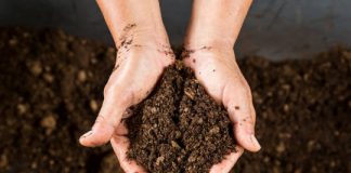 Study: Healthy, stress-busting fat found hidden in dirt — (Details)