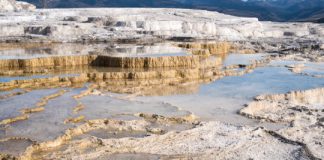 Tech: ‘Fettuccine’ may be most obvious sign of life on Mars, researchers report — (Report)