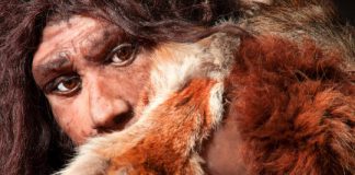 Research: Population modelling shows population could have dwindled to extinction due to demographics, not catastrophe —