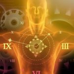 Study: Body parts respond to day and night independently from brain, studies show — (Details)