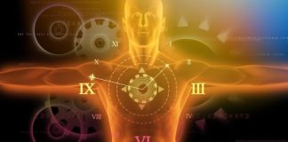 Study: Body parts respond to day and night independently from brain, studies show — (Details)