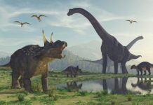 Research: Tracking extinct species on ancient Earth via biogeography —