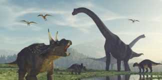 Research: Tracking extinct species on ancient Earth via biogeography —