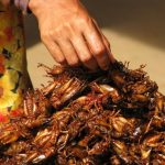 Researchers Claim People Have To Start Eating Bugs To Survive Researchers Claim People Have To Start Eating Bugs To Survive