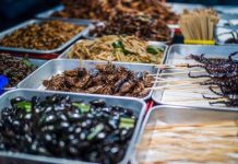 Research: Cultured insect tissue could combine the planet-saving best of insect farming, GM livestock, labriculture and plant-based meat substitutes —