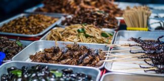 Research: Cultured insect tissue could combine the planet-saving best of insect farming, GM livestock, labriculture and plant-based meat substitutes —