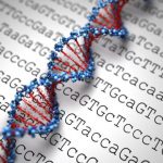 Study: A treasure map to understanding the epigenetic causes of disease — (Details)