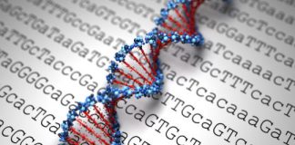 Study: A treasure map to understanding the epigenetic causes of disease — (Details)