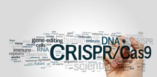 Research: Two copies of mutated CCR5 gene associated with lower survivability —