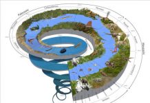 Research: Rare fossils provide more detailed picture of biodiversity during Middle Ordovician —