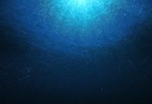 Research: Study shows how hydrothermal vents fuel massive phytoplankton blooms — and possible hotspots for carbon storage —